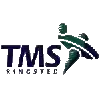 灵斯泰德