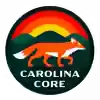 卡罗莱娜